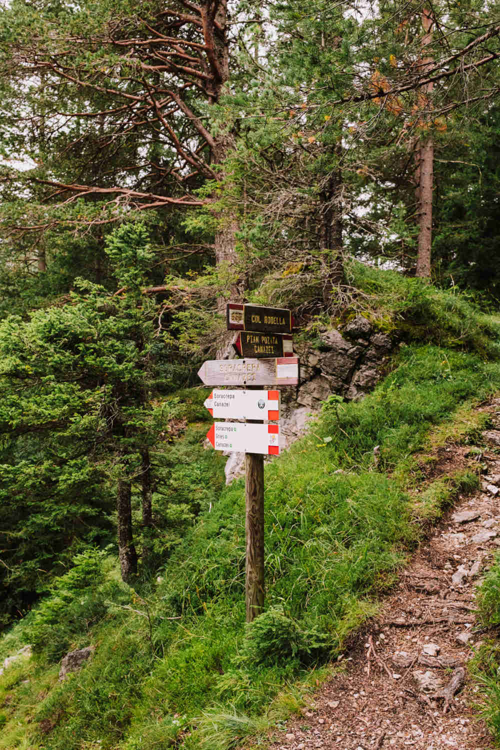 mountain-trail-signs